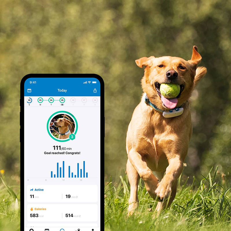 Tractive GPS Tracker For Dogs